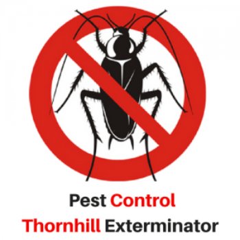 Pest Control Thornhill Exterminator