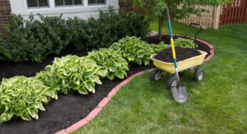Does Landscaping Increase Home Value?